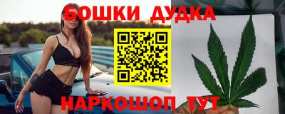 мдпв Славгород