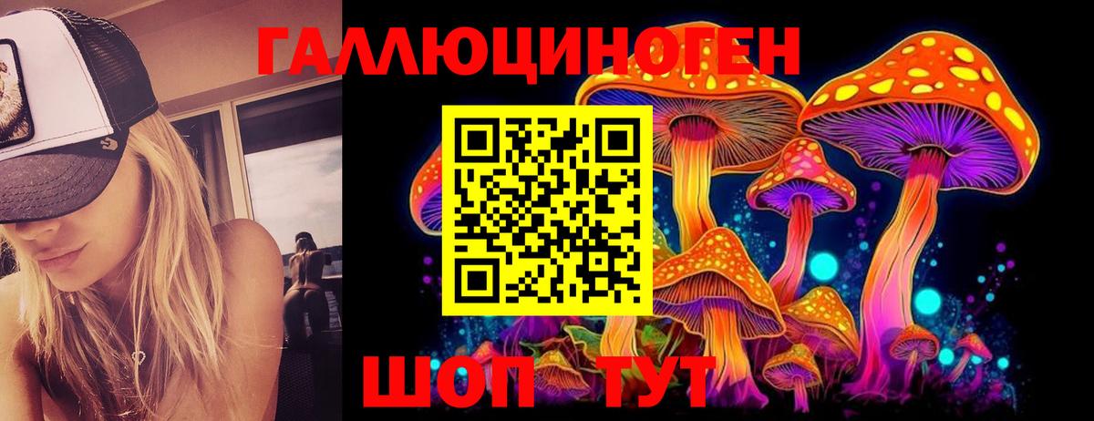 Псилоцибиновые грибы GOLDEN TEACHER  Вход с VPN  Новозыбков 